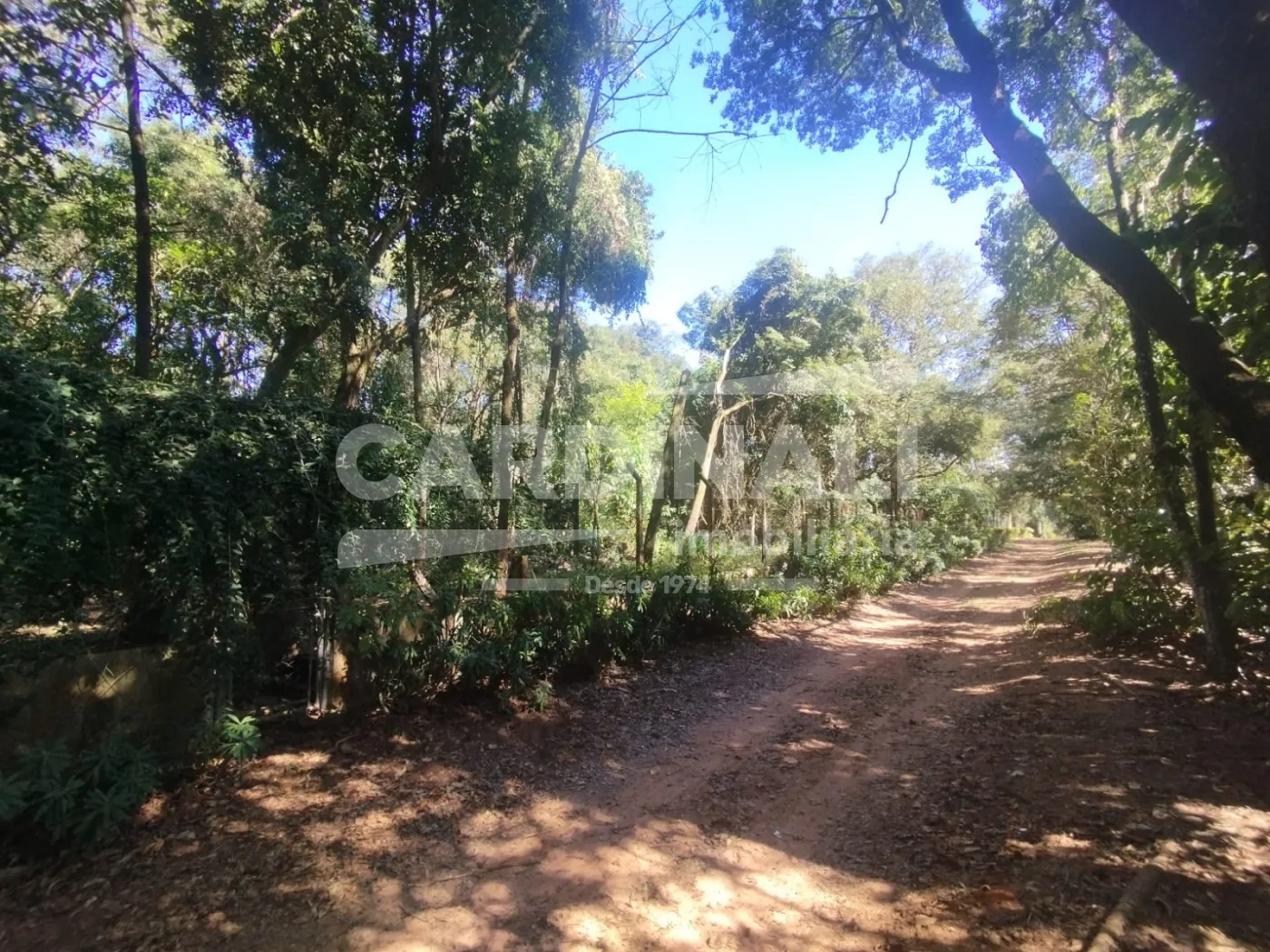 Comprar Rural / Terreno com condom&iacute;nio em S&atilde;o Carlos R$ 350.000,00 - Foto 1