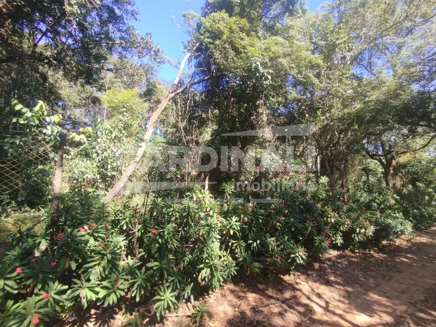 Comprar Rural / Terreno com condom&iacute;nio em S&atilde;o Carlos R$ 350.000,00 - Foto 2