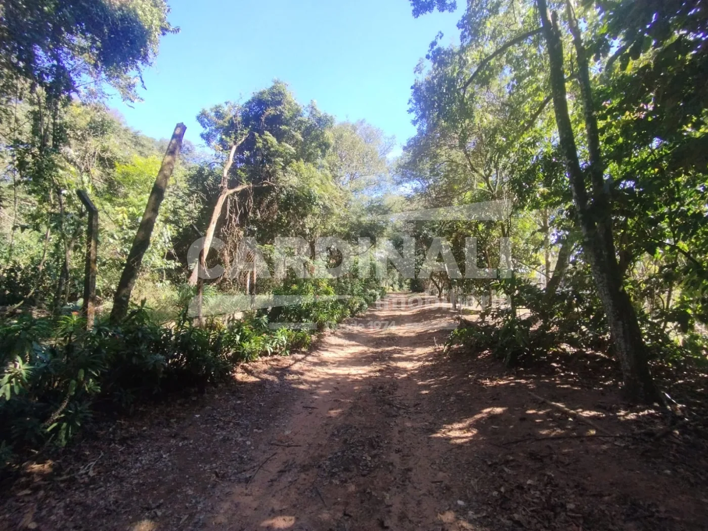 Comprar Rural / Ch&aacute;cara com Condom&iacute;nio em S&atilde;o Carlos R$ 2.500.000,00 - Foto 33