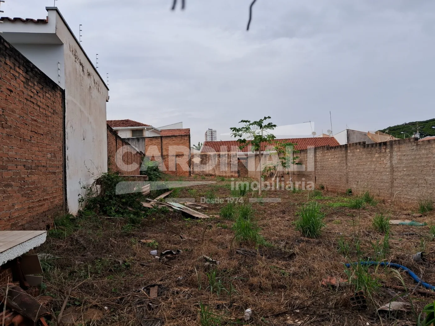 Comprar Terreno / Padr&atilde;o em Araraquara R$ 160.000,00 - Foto 3