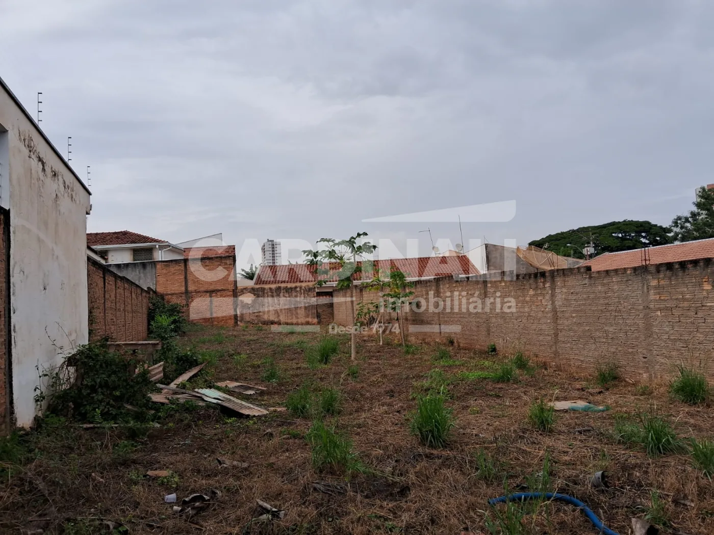 Comprar Terreno / Padr&atilde;o em Araraquara R$ 160.000,00 - Foto 4