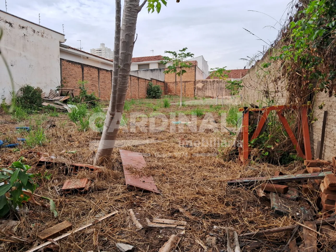 Comprar Terreno / Padr&atilde;o em Araraquara R$ 160.000,00 - Foto 5
