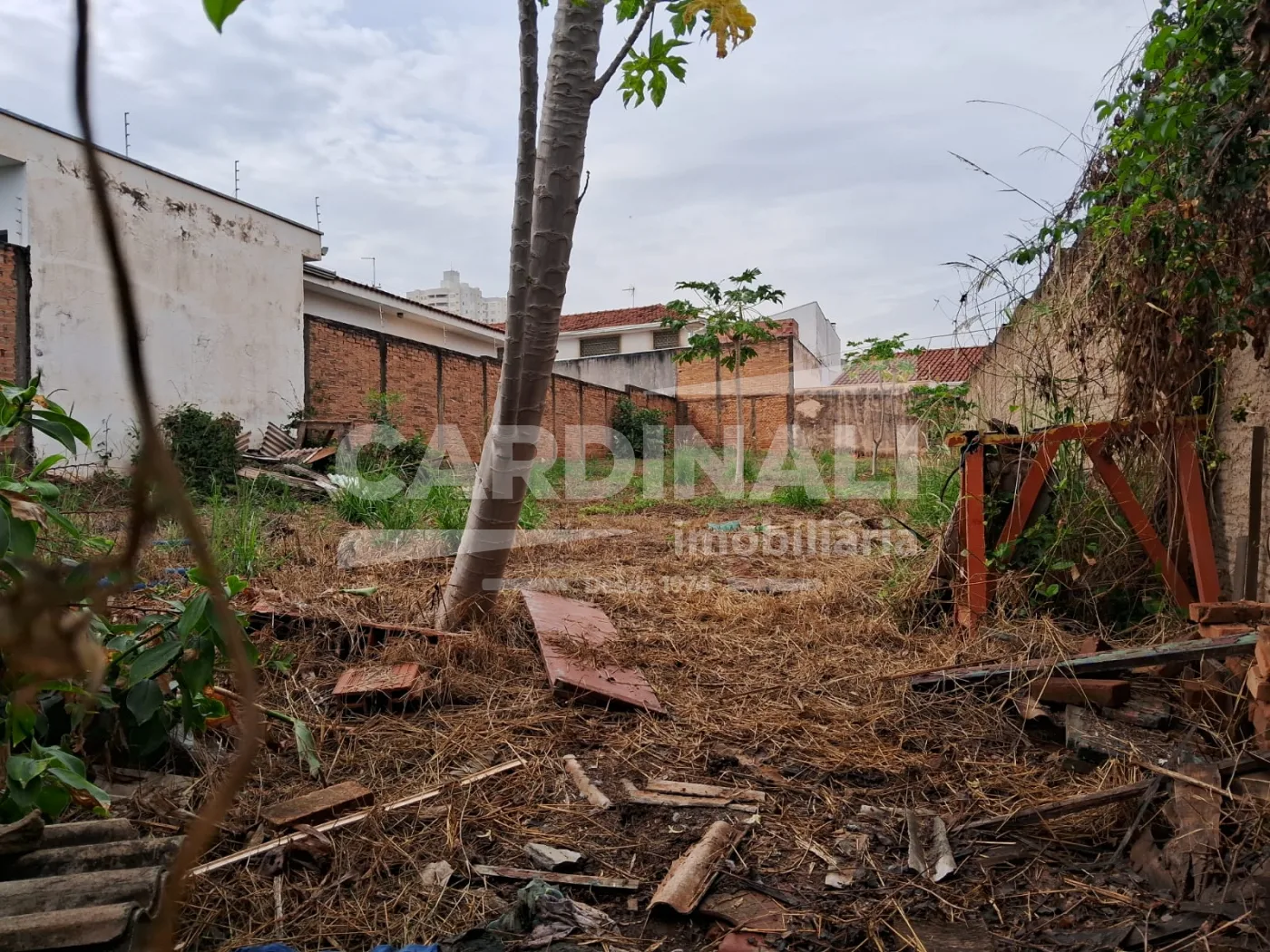 Comprar Terreno / Padr&atilde;o em Araraquara R$ 160.000,00 - Foto 6