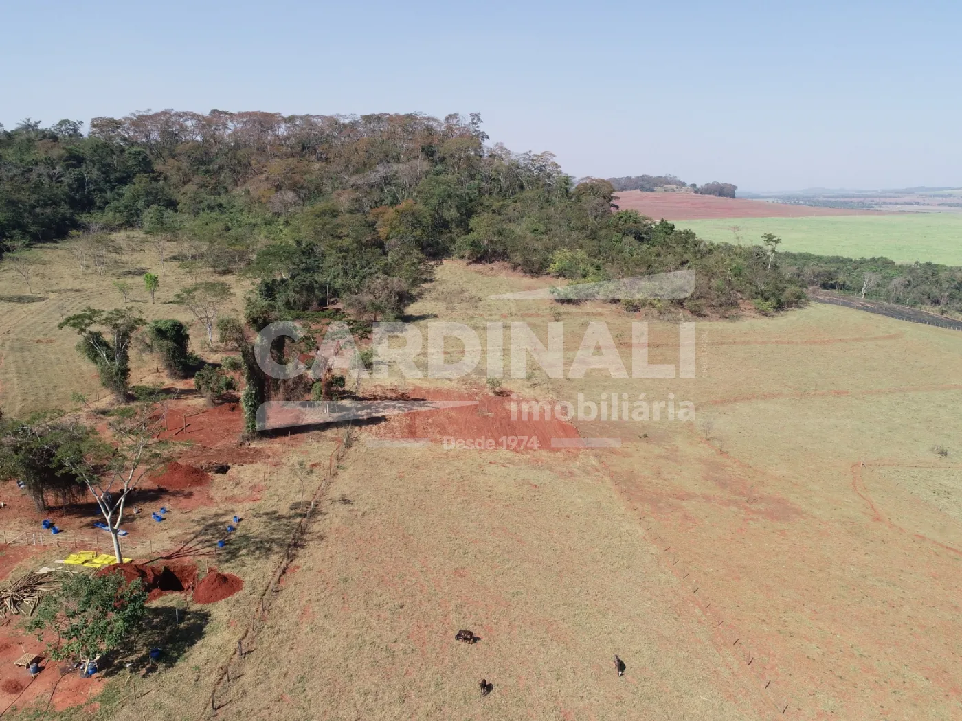 Rural / &Aacute;rea em araraquara , Comprar por R$250.000,00