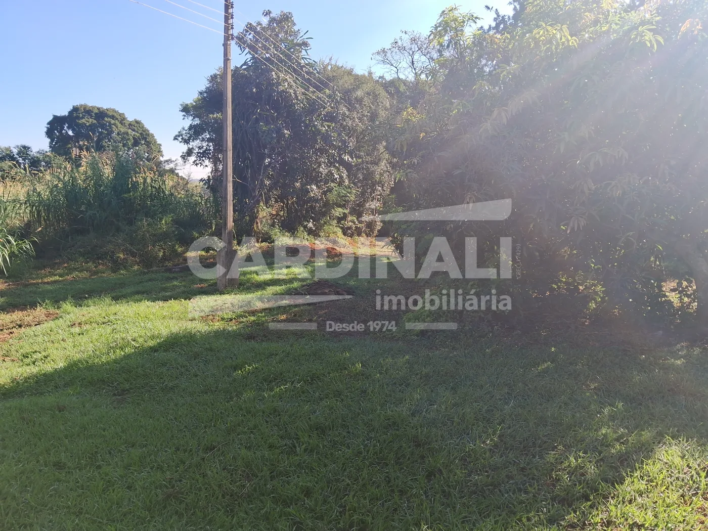 Comprar Rural / &Aacute;rea em Araraquara R$ 2.543.600,00 - Foto 6