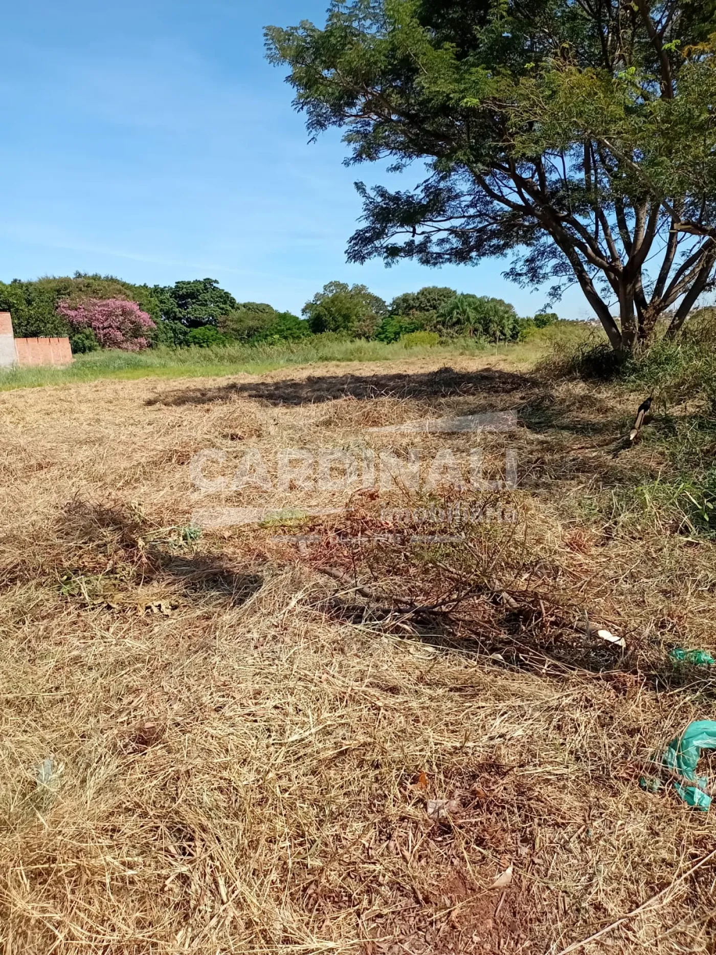 Rural / &Aacute;rea em Araraquara , Comprar por R$1.200.000,00
