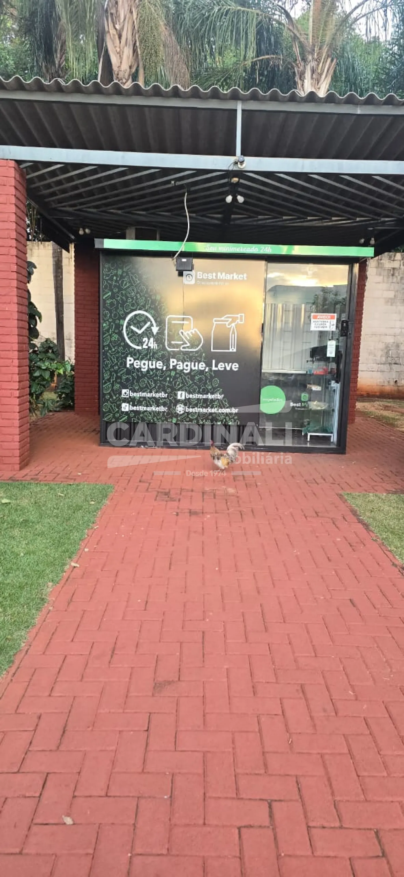 Alugar Apartamento / Padr&atilde;o em Ribeir&atilde;o Preto R$ 1.100,00 - Foto 20