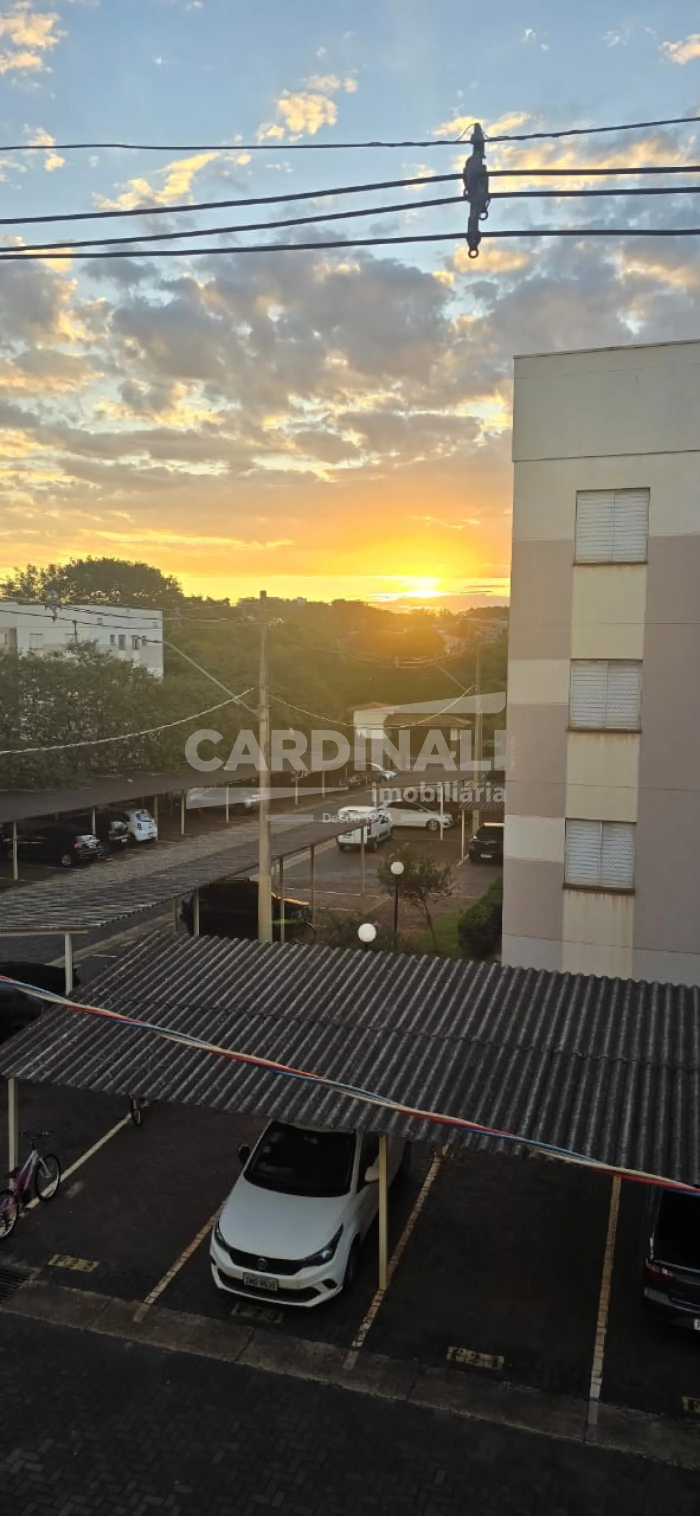 Alugar Apartamento / Padr&atilde;o em Ribeir&atilde;o Preto R$ 1.100,00 - Foto 22