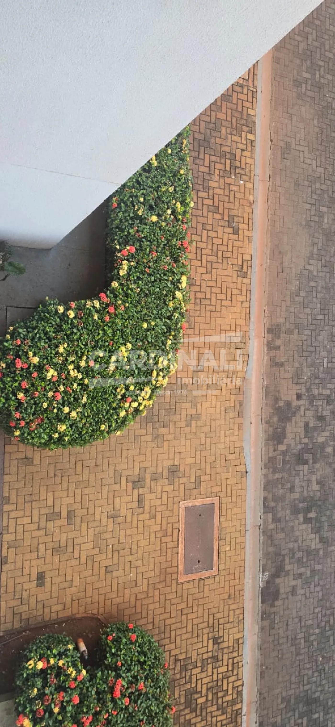 Alugar Apartamento / Padr&atilde;o em Ribeir&atilde;o Preto R$ 1.100,00 - Foto 24