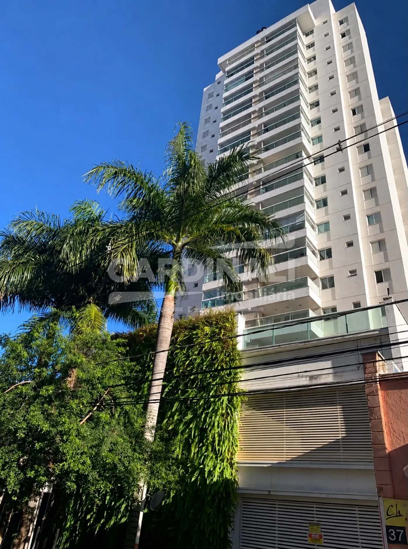 Apartamento / Padr&atilde;o em Campinas 