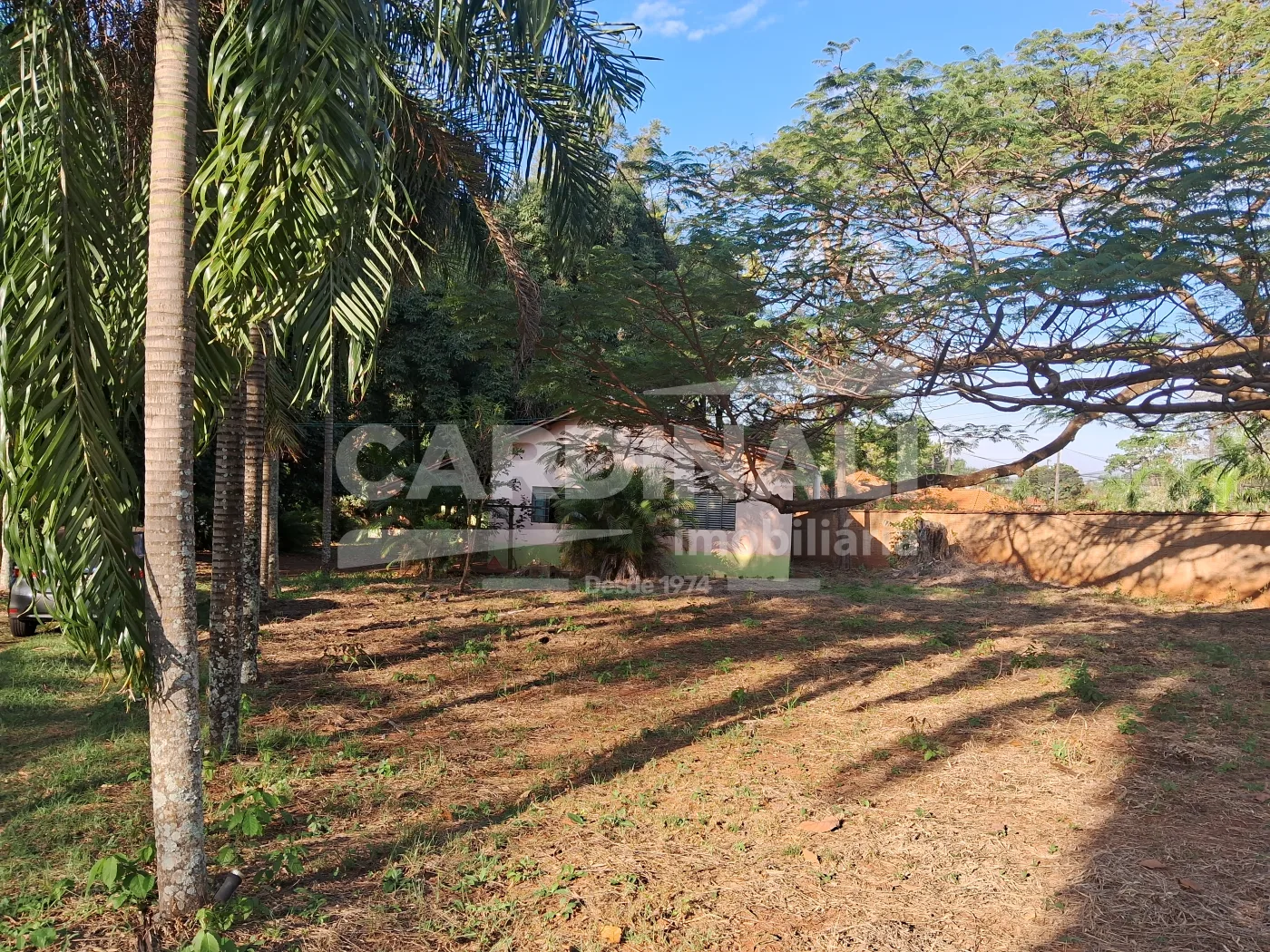 Comprar Rural / Ch&aacute;cara em Araraquara R$ 998.000,00 - Foto 4
