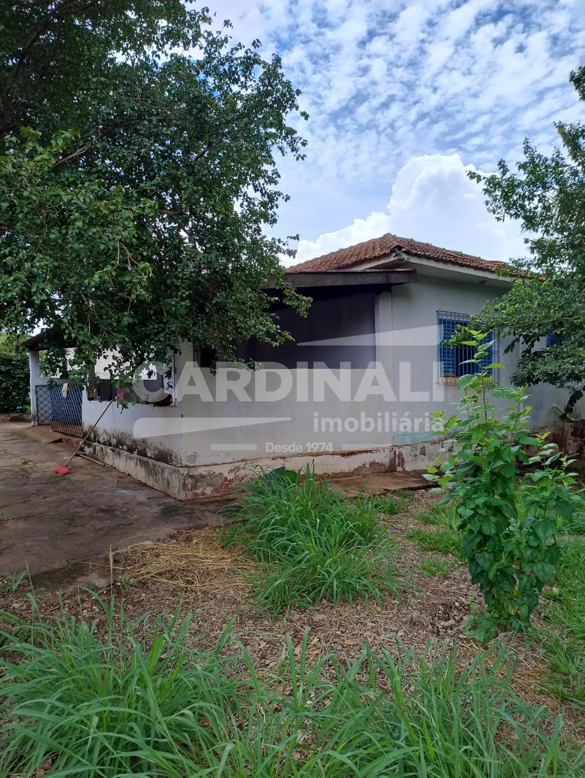 Comprar Casa / Padr&atilde;o em Araraquara R$ 800.000,00 - Foto 1
