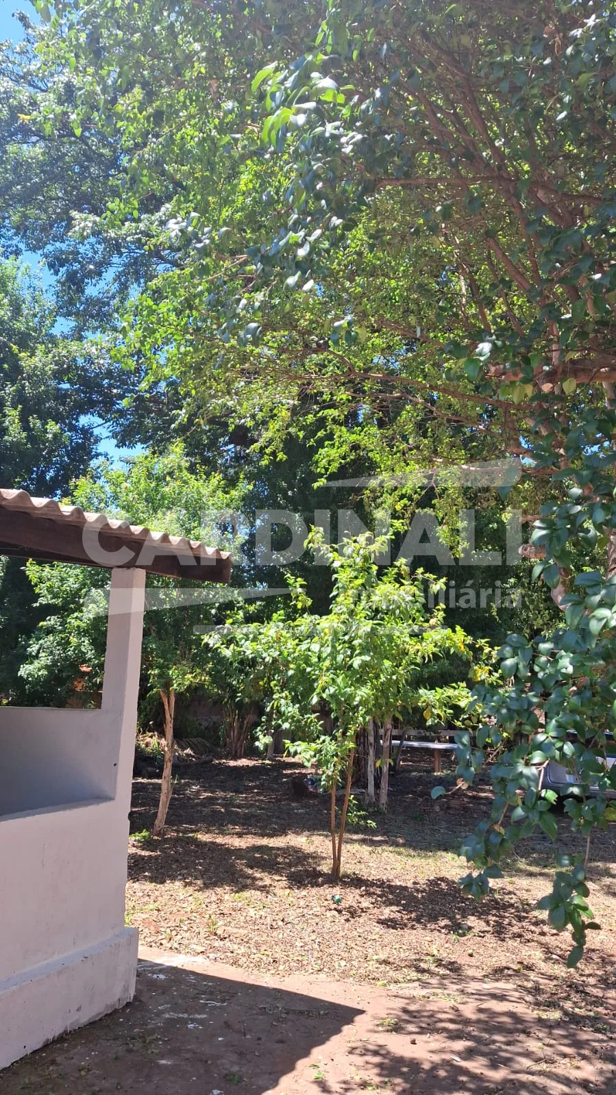 Comprar Casa / Padr&atilde;o em Araraquara R$ 800.000,00 - Foto 8