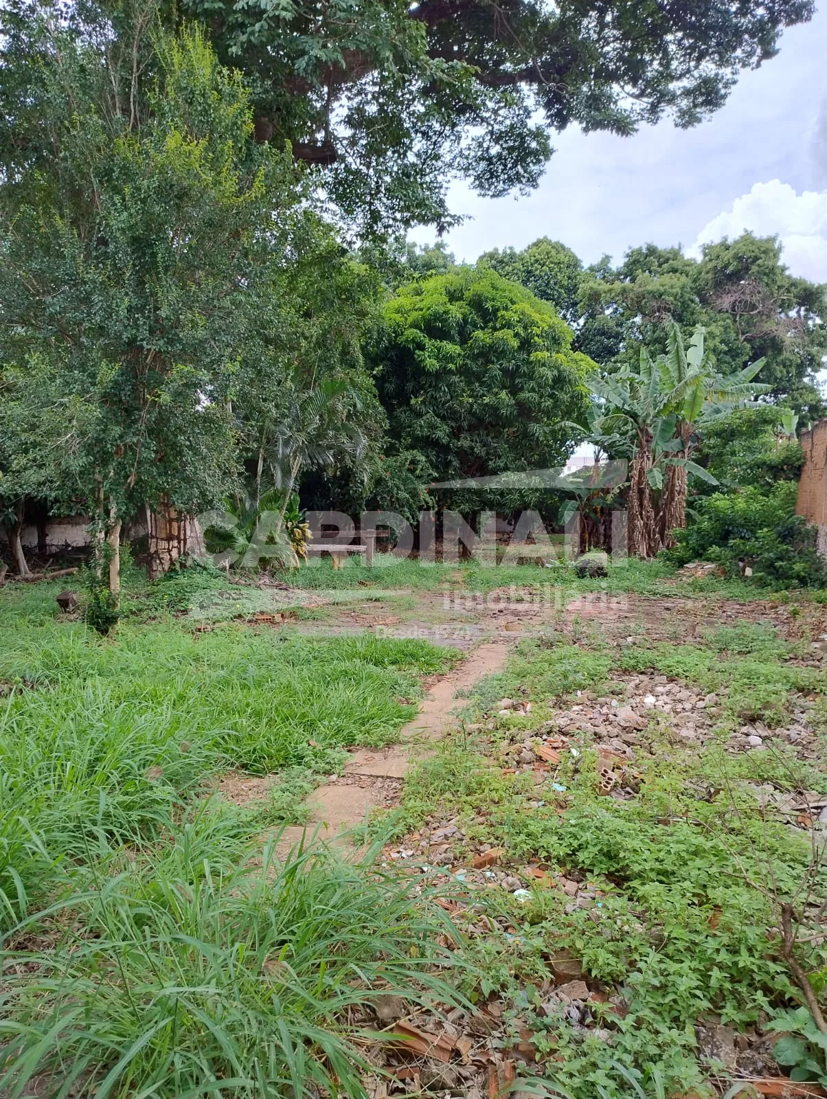 Comprar Casa / Padr&atilde;o em Araraquara R$ 800.000,00 - Foto 17