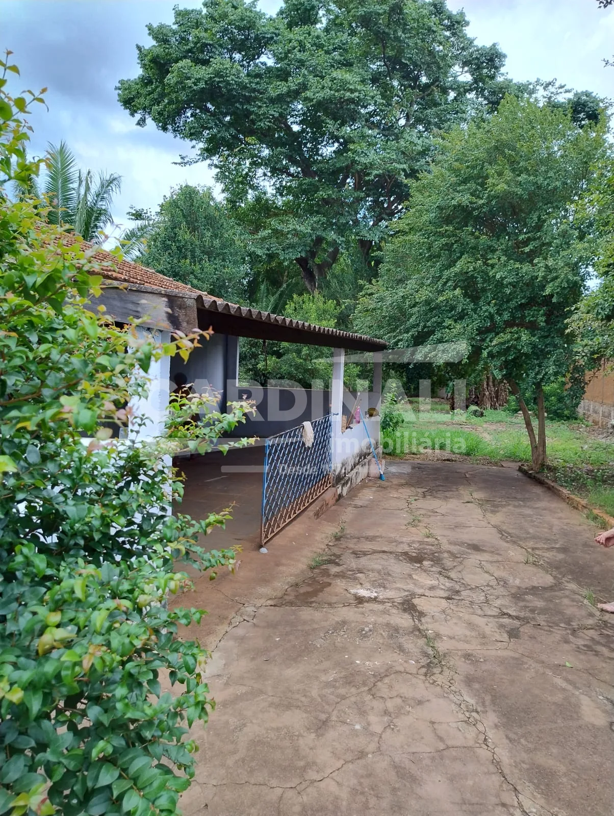 Comprar Casa / Padr&atilde;o em Araraquara R$ 800.000,00 - Foto 20