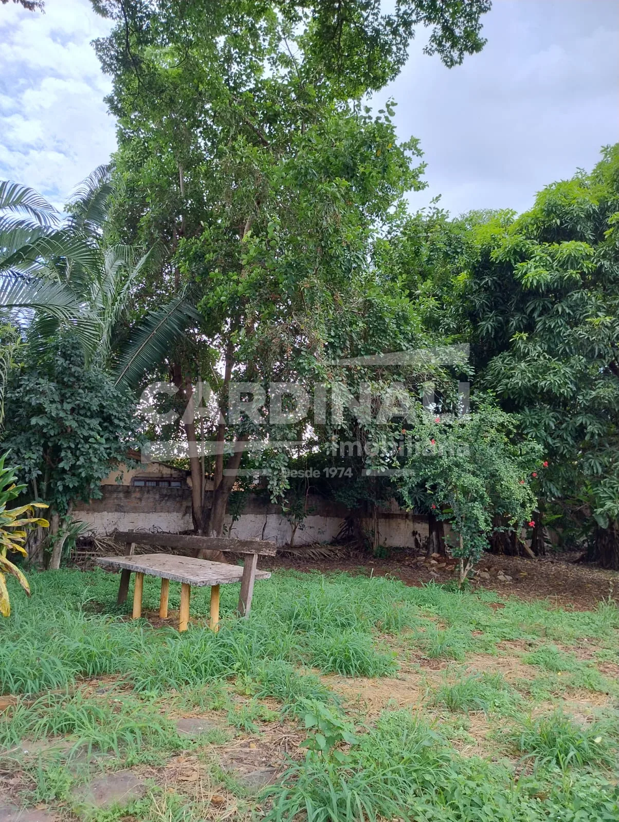 Comprar Casa / Padr&atilde;o em Araraquara R$ 800.000,00 - Foto 21