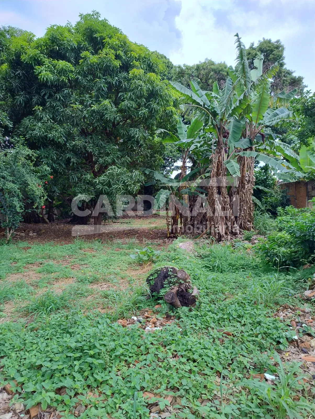Comprar Casa / Padr&atilde;o em Araraquara R$ 800.000,00 - Foto 22