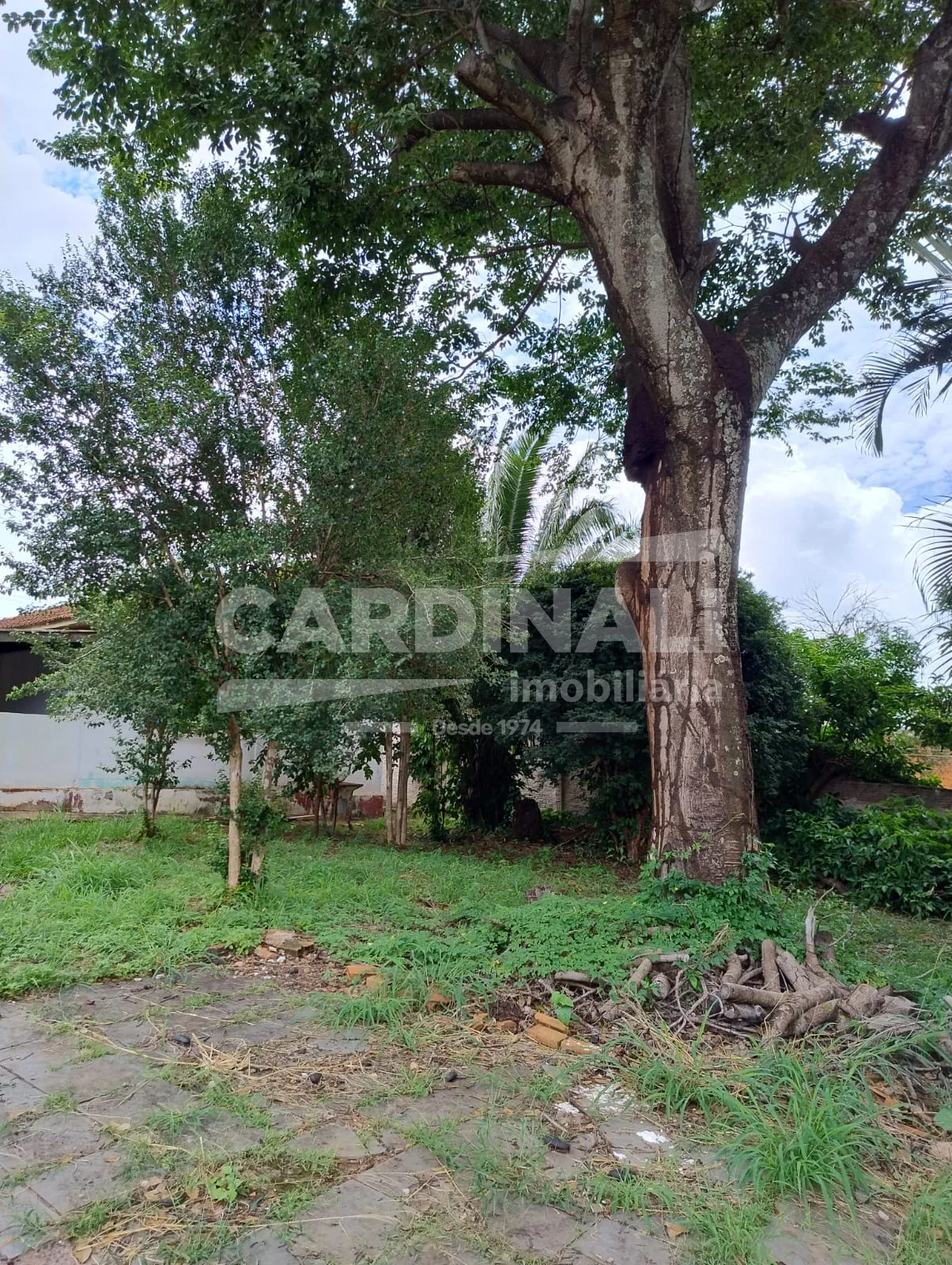 Comprar Casa / Padr&atilde;o em Araraquara R$ 800.000,00 - Foto 24