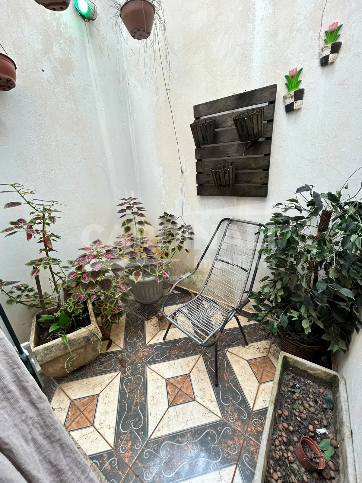 Comprar Casa / Padr&atilde;o em Araraquara R$ 400.000,00 - Foto 14