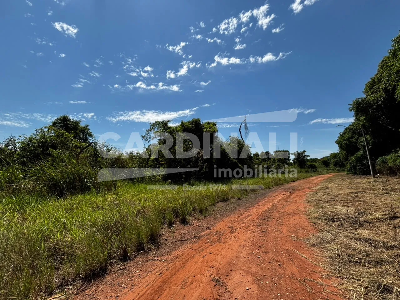 Comprar Terreno / &Aacute;rea Urbana em Araraquara R$ 836.876,60 - Foto 1