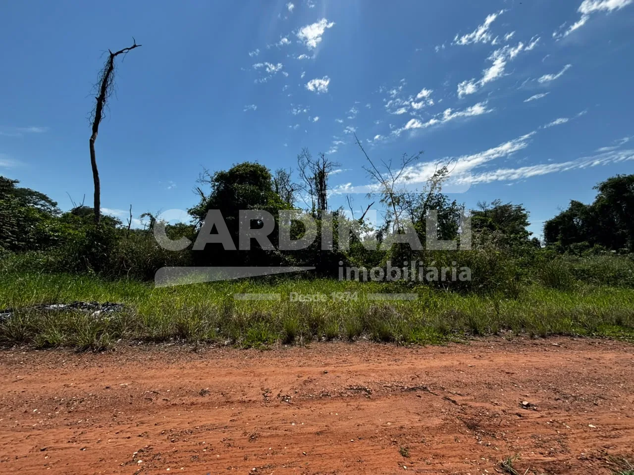 Comprar Terreno / &Aacute;rea Urbana em Araraquara R$ 836.876,60 - Foto 3