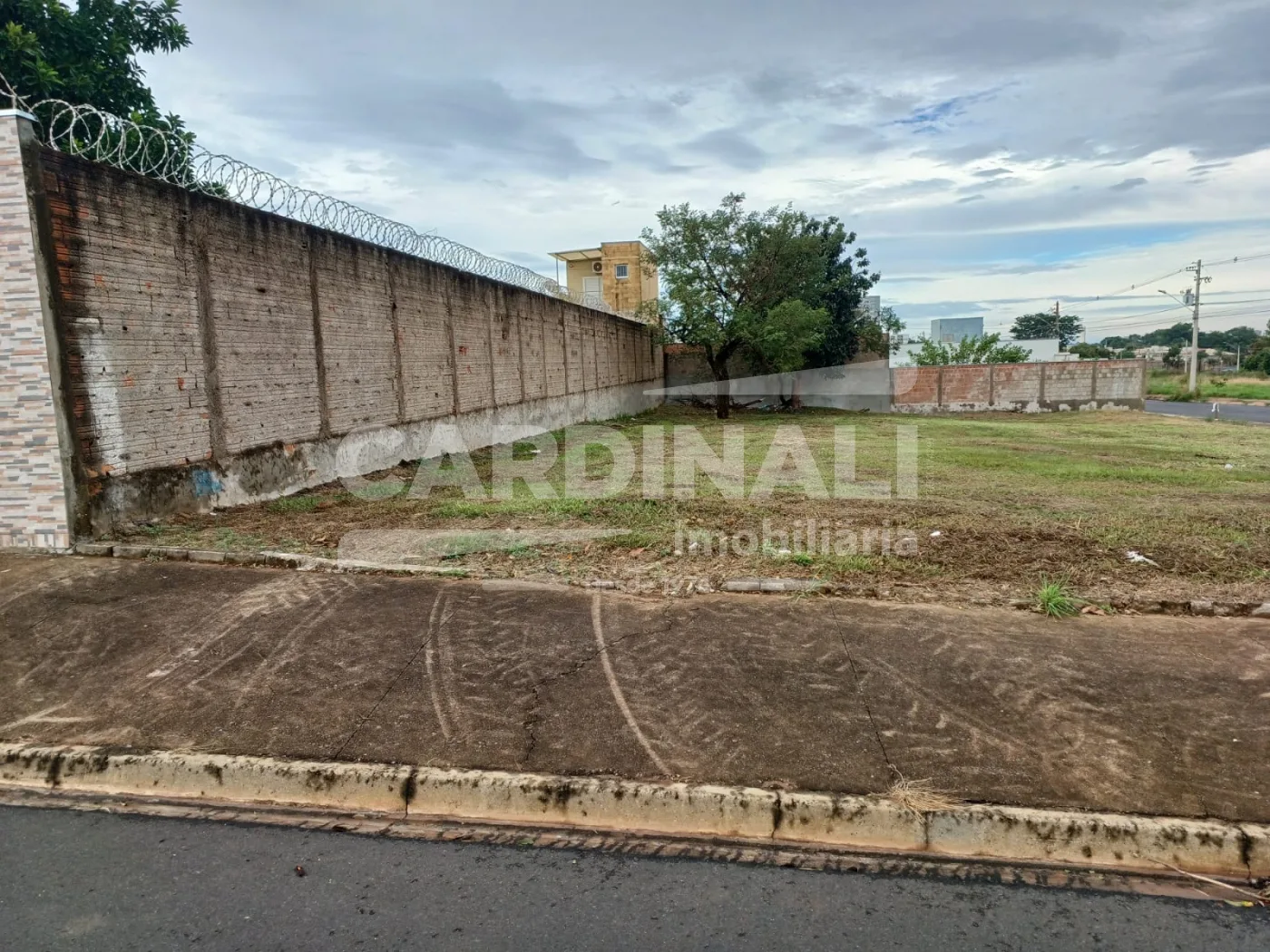 Comprar Terreno / Padr&atilde;o em Araraquara R$ 230.000,00 - Foto 1