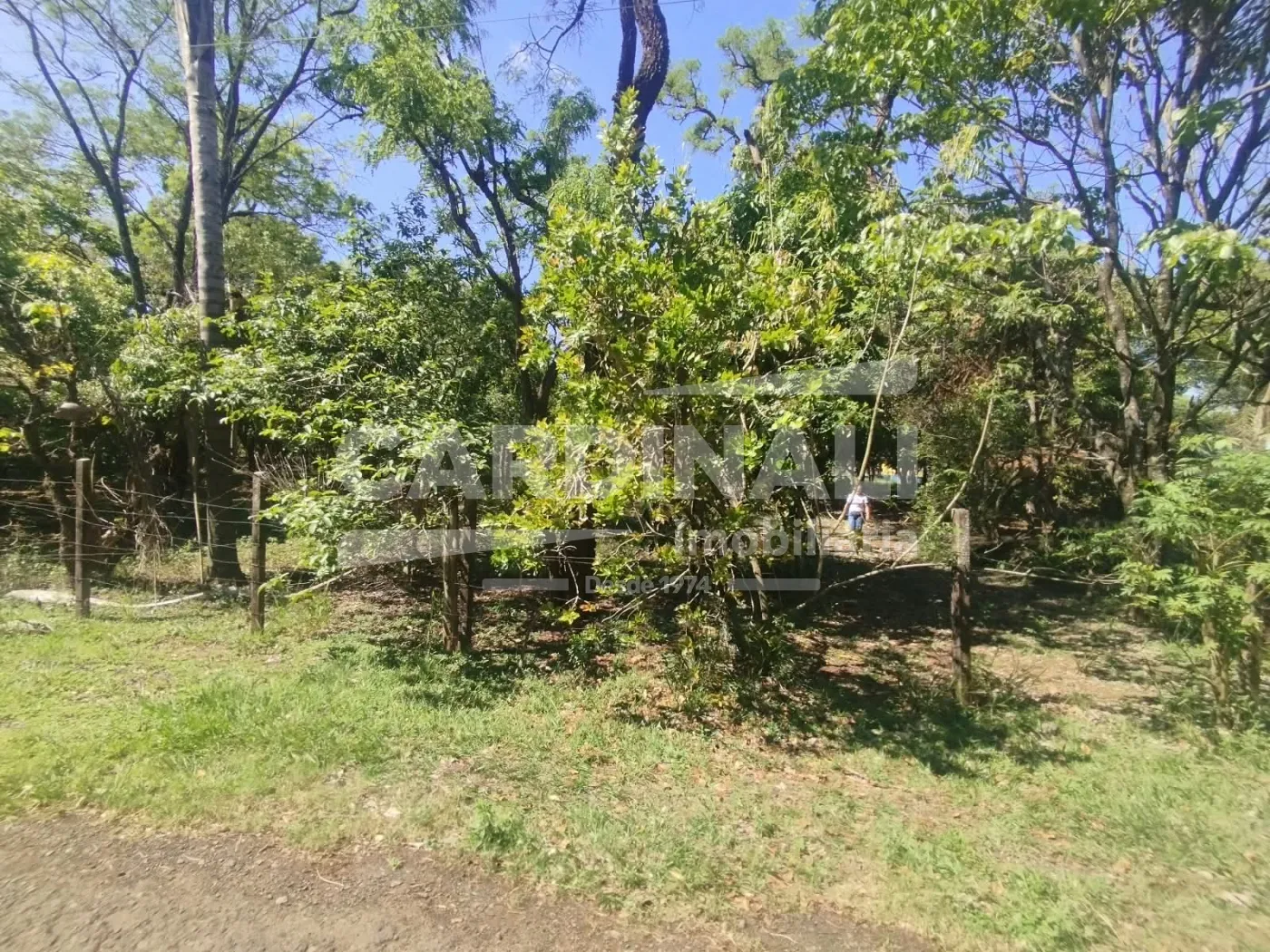 Rural / Ch&aacute;cara em S&atilde;o Carlos , Comprar por R$250.000,00