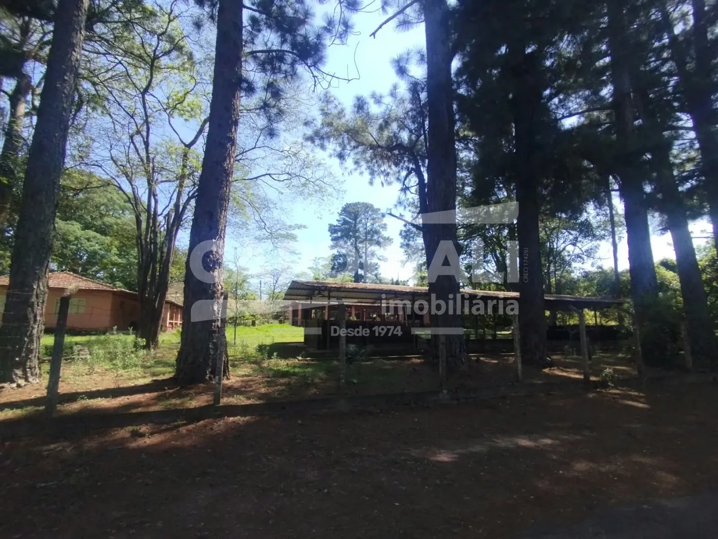 Rural / Ch&aacute;cara em S&atilde;o Carlos , Comprar por R$400.000,00