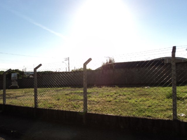 Sao Carlos Vila Izabel Terreno Locacao R$ 4.445,00  Area do terreno 820.00m2 