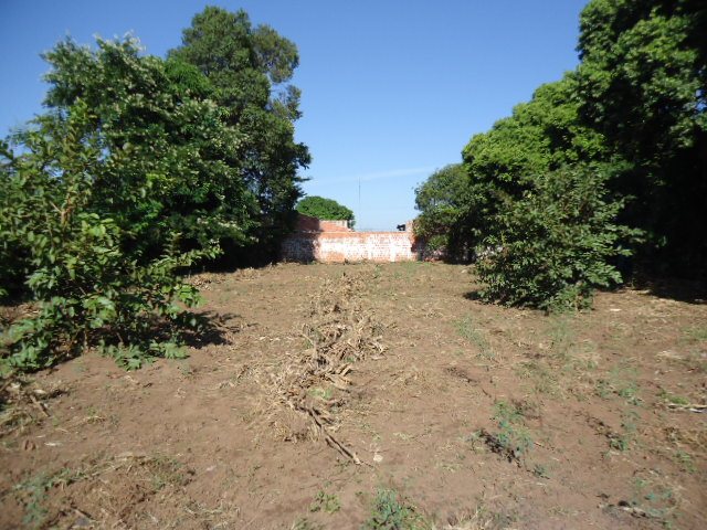 Ibate Centro Terreno Venda R$1.250.000,00  Area do terreno 1800.00m2 