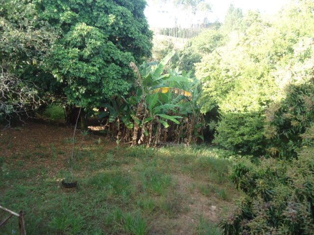 Sao Carlos Vila Rancho Velho Terreno Venda R$3.000.000,00  Area do terreno 6800.00m2 