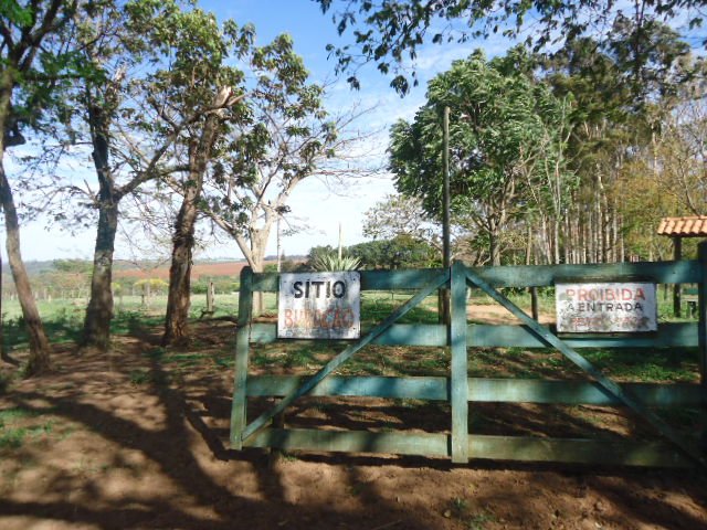 Sao Carlos Area Rural de Sao Carlos Rural Venda R$6.075.000,00 