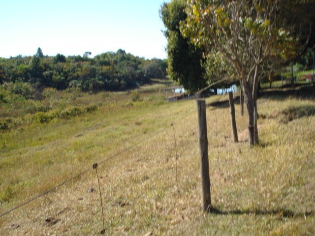 Sao Carlos Area Rural de Sao Carlos Rural Venda R$2.950.000,00 
