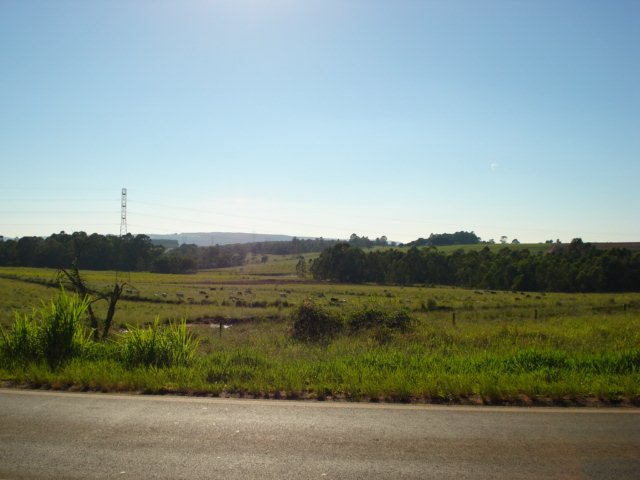 Sao Carlos Area Rural de Sao Carlos Rural Venda R$2.130.000,00 1 Dormitorio  