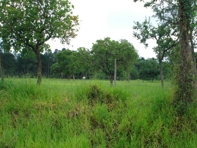 Sao Carlos Chacara Flores Terreno Venda R$2.190.000,00 