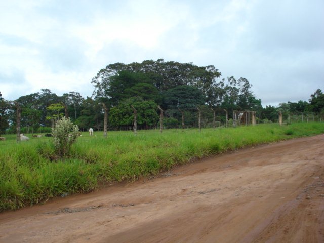 Sao Carlos Chacara Flores Terreno Venda R$2.579.200,00 