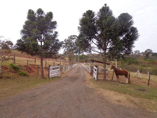 Sao Carlos Jardim Santa Maria II Rural Venda R$2.400.000,00 