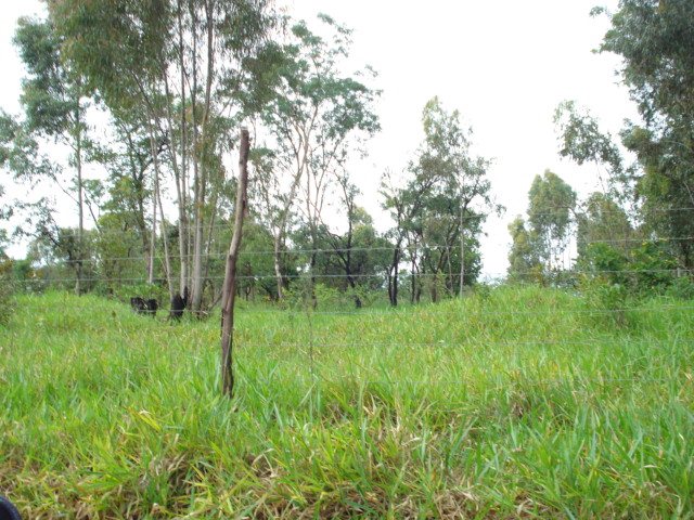 Sao Carlos Chacara Flores Terreno Venda R$1.864.593,00 