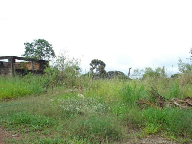 Sao Carlos Chacara Flores Terreno Venda R$1.780.800,00 