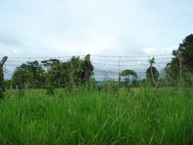 Sao Carlos Chacara Flores Terreno Venda R$2.316.000,00 
