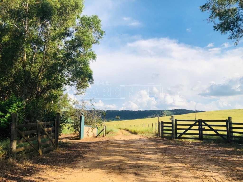 Sao Carlos Area Rural de Sao Carlos Rural Venda R$8.000.000,00 3 Dormitorios  