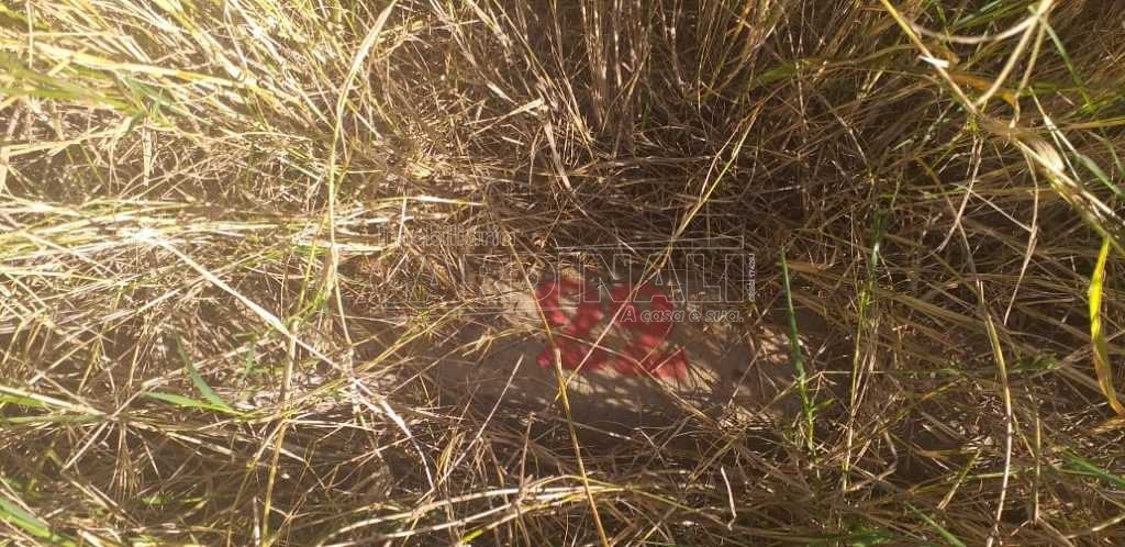 Sao Carlos Jardim do Bosque Terreno Venda R$228.000,00  Area do terreno 265.37m2 