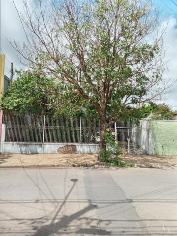 Sao Carlos Jardim Cruzeiro do Sul Terreno Venda R$270.000,00  Area do terreno 330.00m2 