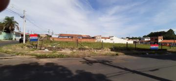 Sao Carlos Parque Santa Felicia Jardim Terreno Locacao R$ 1.112,00  Area do terreno 300.00m2 