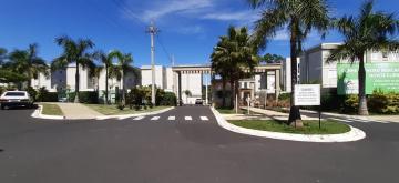 Sao Carlos Parque Santa Felicia Jardim Apartamento Venda R$175.000,00 Condominio R$240,00 2 Dormitorios 1 Vaga 