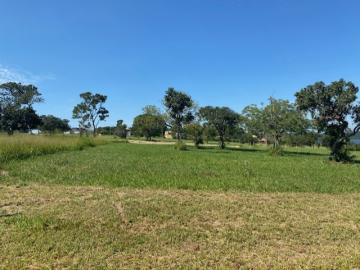 Sao Carlos Broa Terreno Venda R$1.200.000,00 Condominio R$500,00 