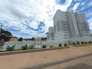 Sao Carlos Recreio Sao Judas Tadeu Apartamento Venda R$220.000,00 Condominio R$200,00 2 Dormitorios 1 Vaga 