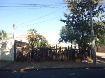 Sao Carlos Parque Santa Felicia Jardim Terreno Venda R$220.000,00  Area do terreno 300.00m2 