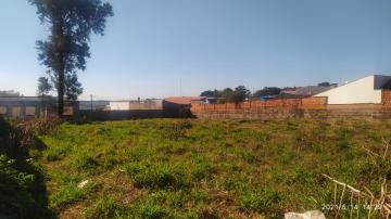 Sao Carlos Jardim Sao Joao Batista Terreno Venda R$371.000,00  Area do terreno 604.34m2 