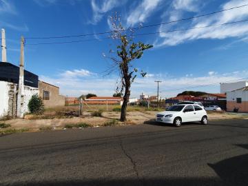 Sao Carlos Centro Terreno Locacao R$ 5.556,00 